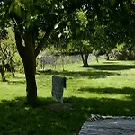 Casa Do Meio Em Quinta De Sao Pedro De Vir-a-corca Monsanto