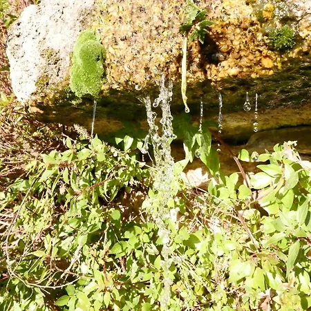 Casa Do Meio Em Quinta De Sao Pedro De Vir-a-corca