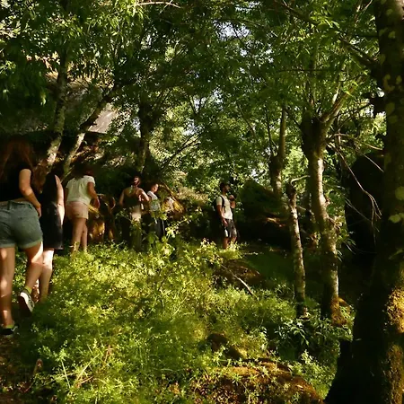 Casa Do Meio Em Quinta De Sao Pedro De Vir-a-corca *