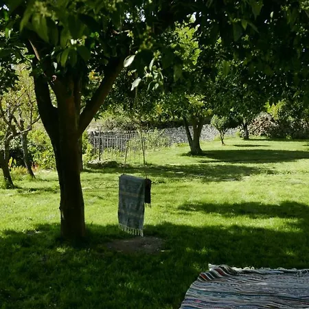 Casa Do Meio Em Quinta De Sao Pedro De Vir-a-corca Monsanto