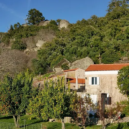 Casa Do Meio Em Quinta De Sao Pedro De Vir-a-corca