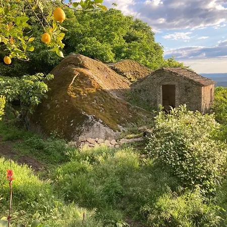 Venkovský dům Casa Do Meio Em Quinta De Sao Pedro De Vir-a-corca *