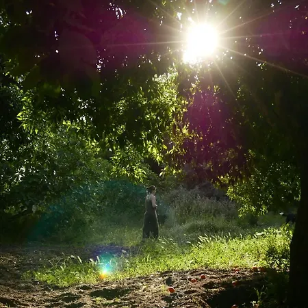 Casa Do Meio Em Quinta De Sao Pedro De Vir-a-corca * Monsanto