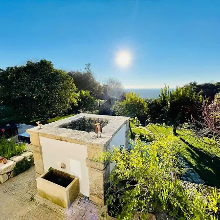 Venkovský dům Casa Do Meio Em Quinta De Sao Pedro De Vir-a-corca