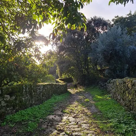 Casa Do Meio Em Quinta De Sao Pedro De Vir-a-corca Casa de Campo Monsanto