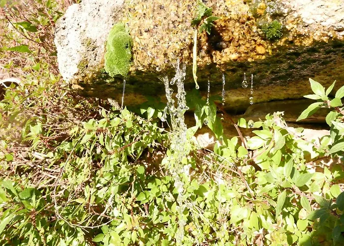 Casa Do Meio Em Quinta De Sao Pedro De Vir-a-corca