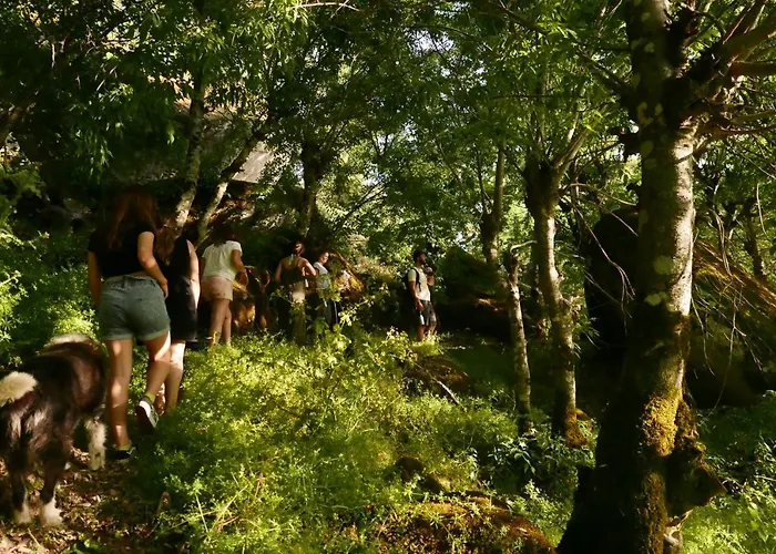 Casa Do Meio Em Quinta De Sao Pedro De Vir-a-corca *