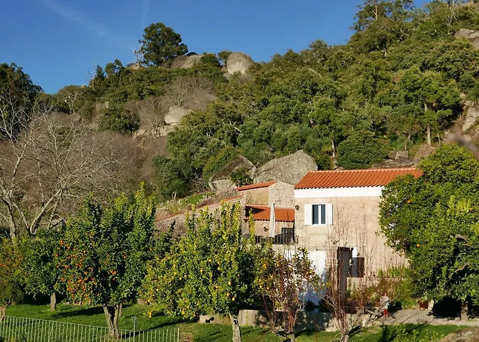 Casa Do Meio Em Quinta De Sao Pedro De Vir-a-corca