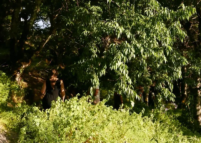 Casa Do Meio Em Quinta De Sao Pedro De Vir-a-corca בית כפרי *