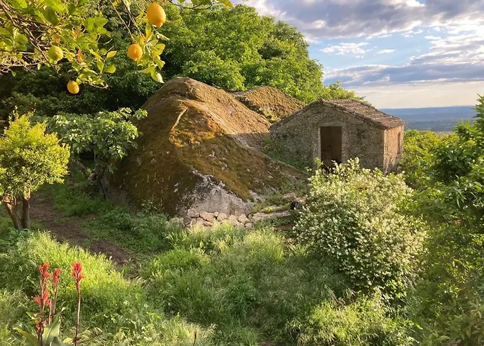 בית כפרי Casa Do Meio Em Quinta De Sao Pedro De Vir-a-corca *