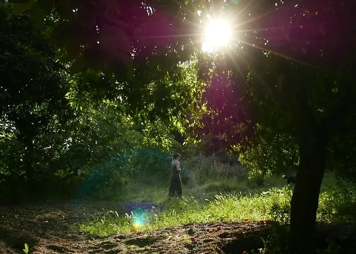 Casa Do Meio Em Quinta De Sao Pedro De Vir-a-corca * מונסנטו