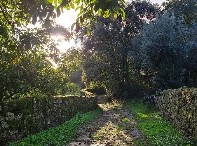 Casa Do Meio Em Quinta De Sao Pedro De Vir-a-corca בית כפרי מונסנטו